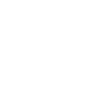 FASTSPIN